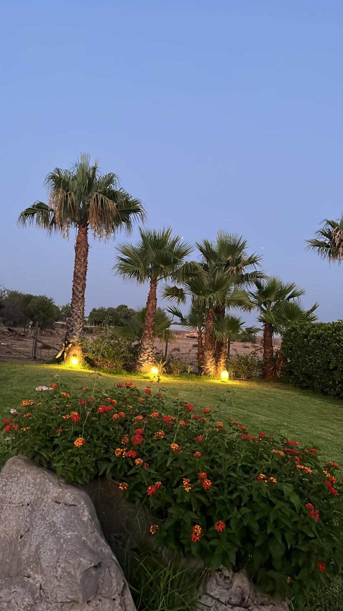 Masseria Boscorotondo Шиклі Екстер'єр фото